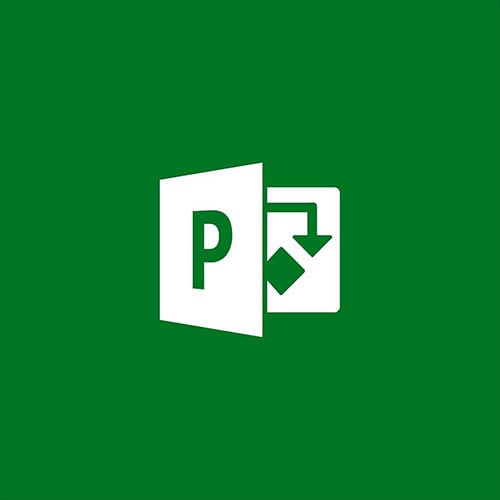 Microsoft Project Professional 2019 Cd Key Global